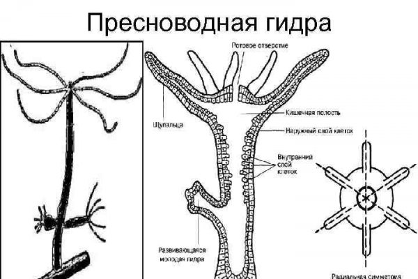 Маркетплейс кракен в россии