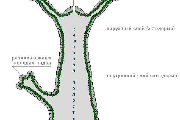 Kraken ссылка зеркало официальный сайт