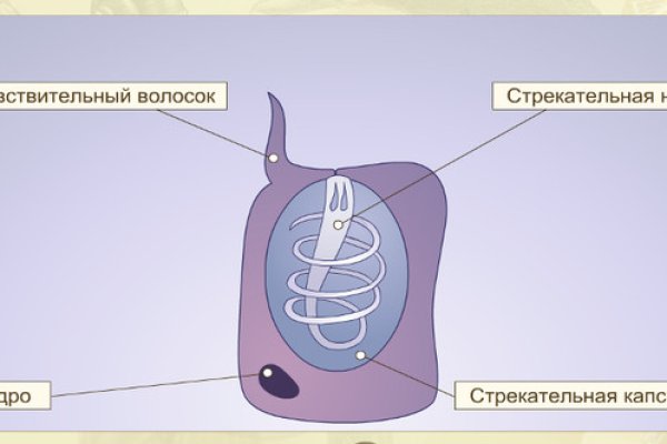 Кракен торговая площадка даркнет