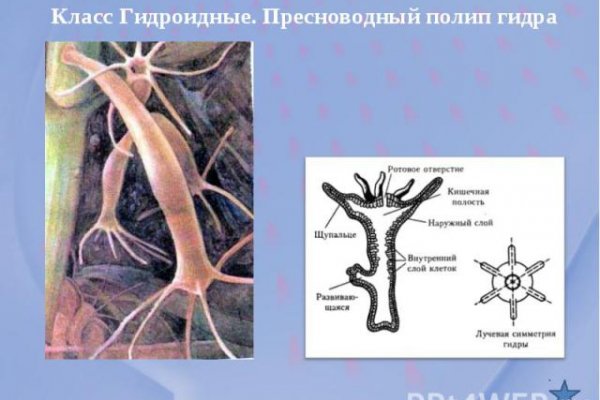 Кракен ты знаешь где покупать