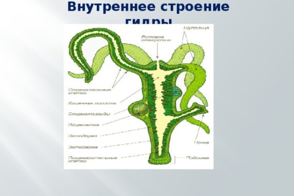 Зайти на кракен