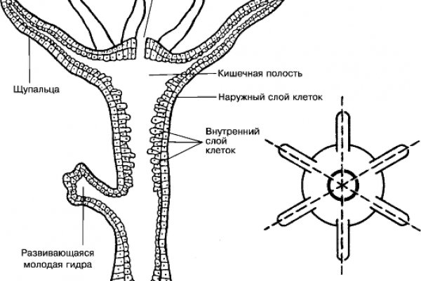 Новая ссылка на кракен